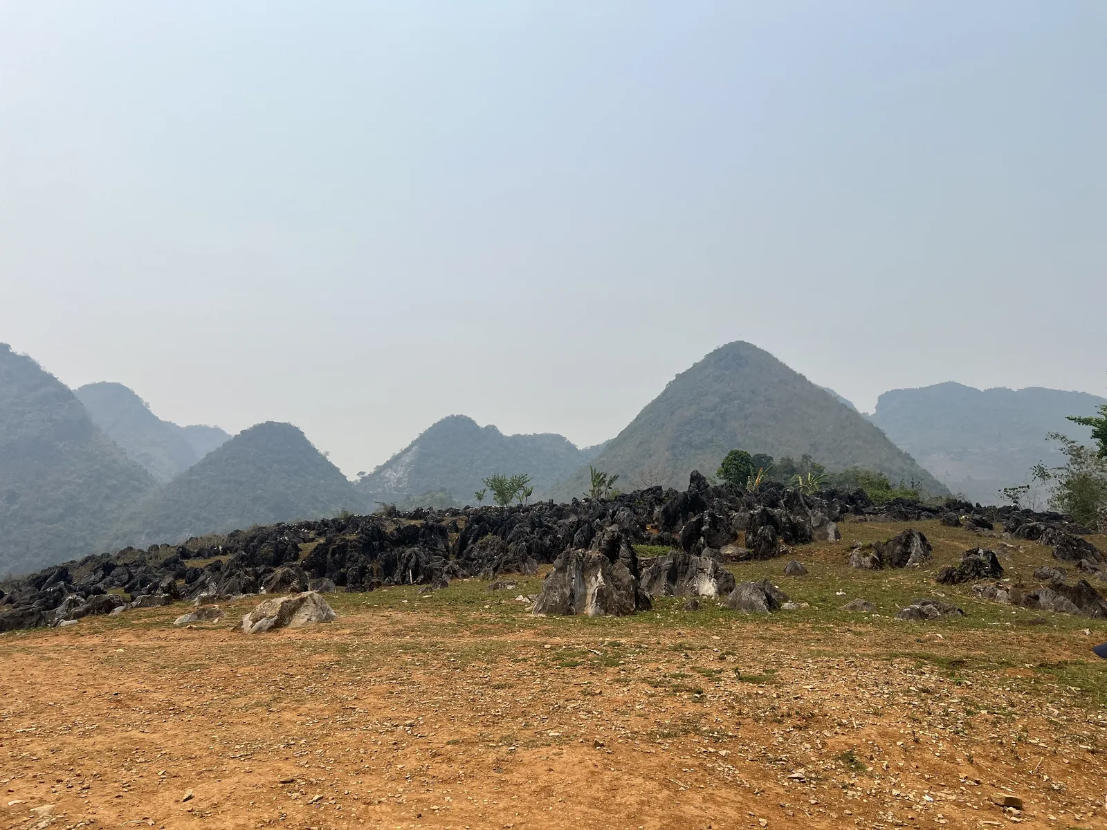 Đá tai mèo trên cao nguyên đá Tủa Chùa, núi hình chóp phía xa Đá tai mèo trên cao nguyên đá Tủa Chùa, núi hình chóp phía xa